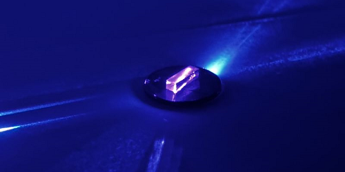 Nuclear Glow Illuminates Dark Matter